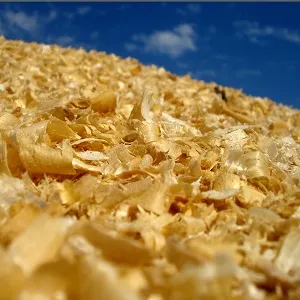 Опилки оптом в Подольске купить - оперативная доставка по всей России