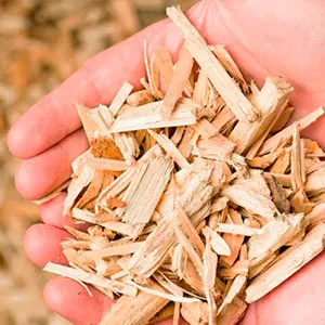 Щепа лиственная оптом в Подольске и других различных марок заказать от 16 тонн