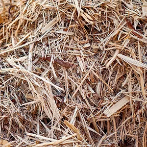 Щепа для арболита оптом в Подольске и других различных марок заказать от 16 тонн